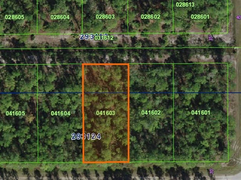 Build Your Dream Home Central FL : Indian Lake Estates : Polk County : Florida