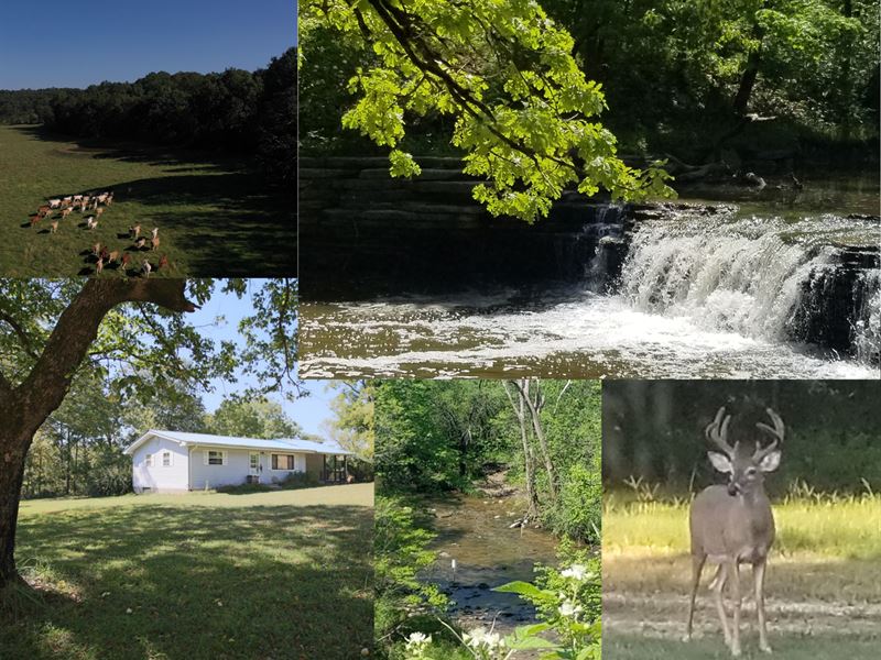 645 Acre Ranch Live Water Mature Land for Sale in Birch Tree, Shannon