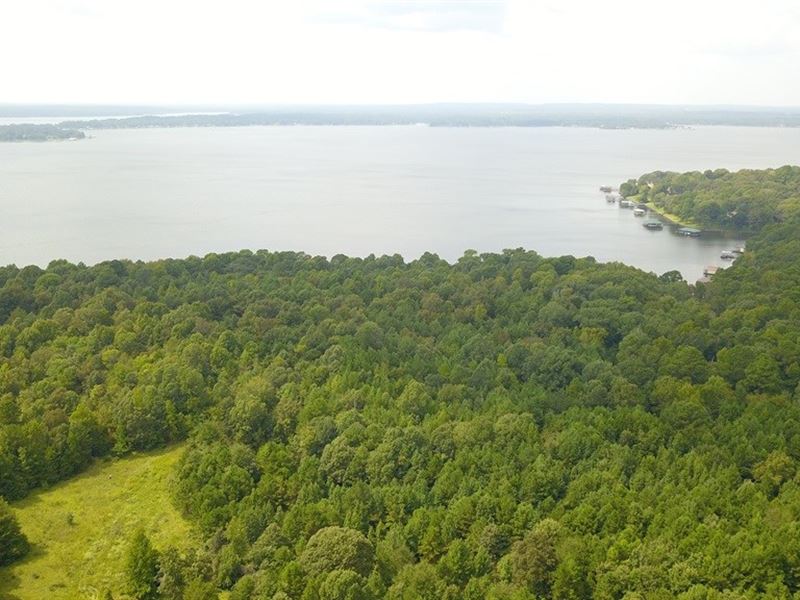 Waterfront Acreage Lake Palestine : Flint : Smith County : Texas