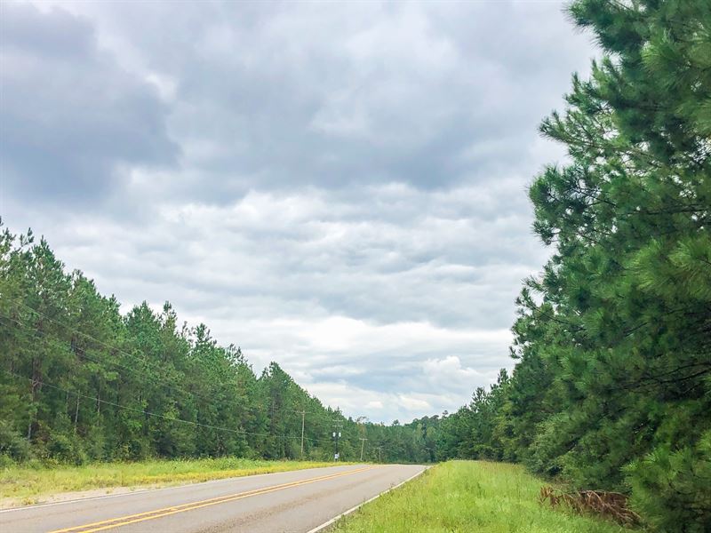 43 Acres FM 1005 T-3 : Jasper : Jasper County : Texas