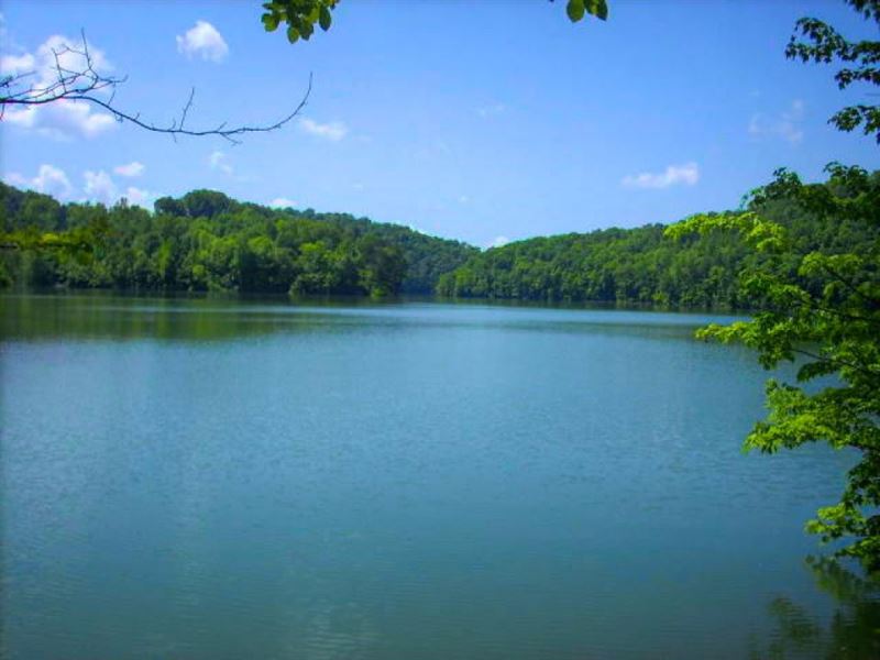 123 Norris Lake Property : Maynardvillle : Union County : Tennessee