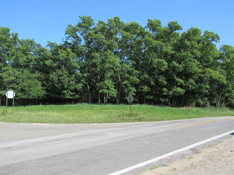 Mason County Gem Lot : Ludington : Mason County : Michigan