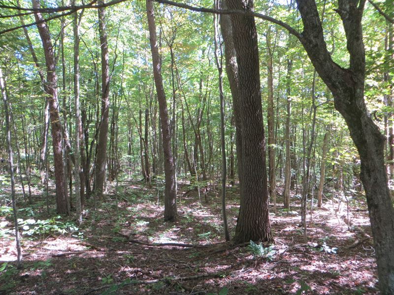 Bluff Views, Level and Private : Pikeville : Bledsoe County : Tennessee