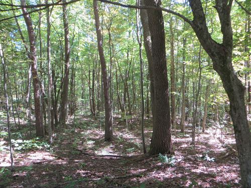 Bluff Views, Level and Private : Pikeville : Bledsoe County : Tennessee