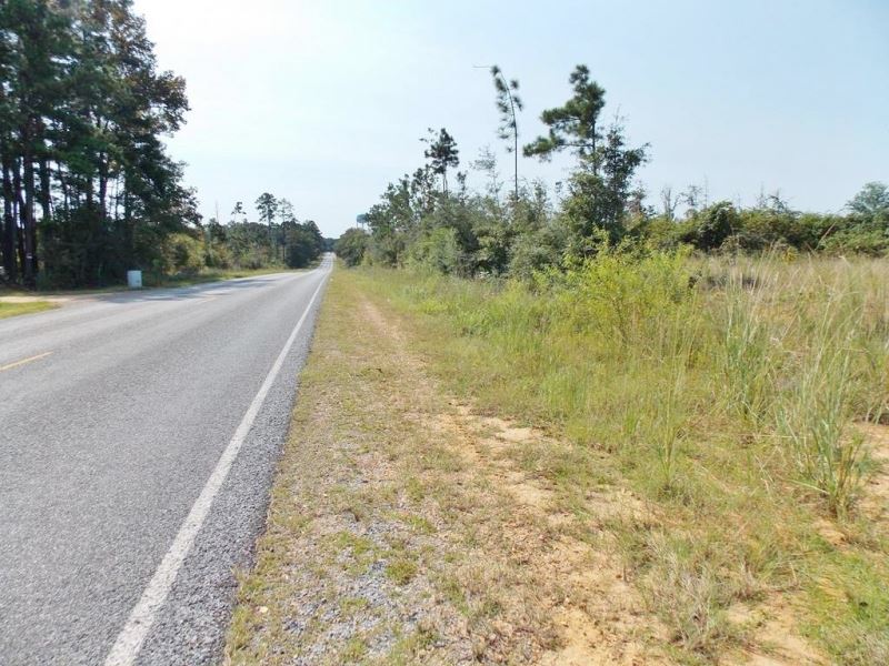 125 Acres-Old Industrial Rd, Adams : McComb : Pike County : Mississippi