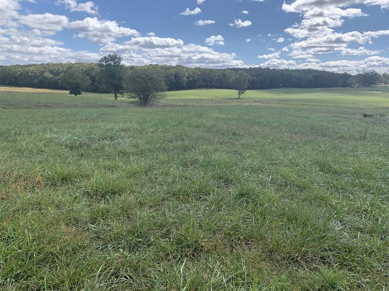 Ranch Land for Sale in Missouri : Mountain View : Howell County : Missouri