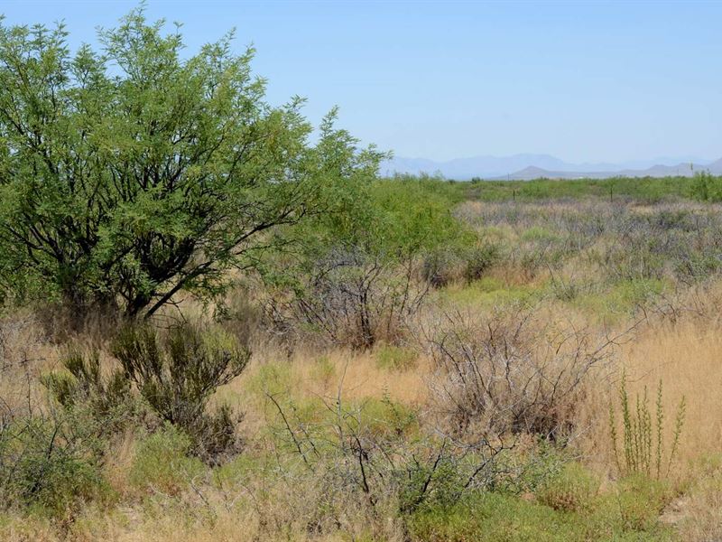 Turkey Creek, Ru4, Awesome, 250/M Land for Sale by Owner in