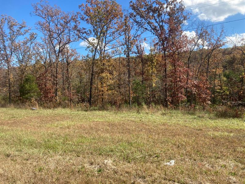 Lot with Location : Houston : Texas County : Missouri