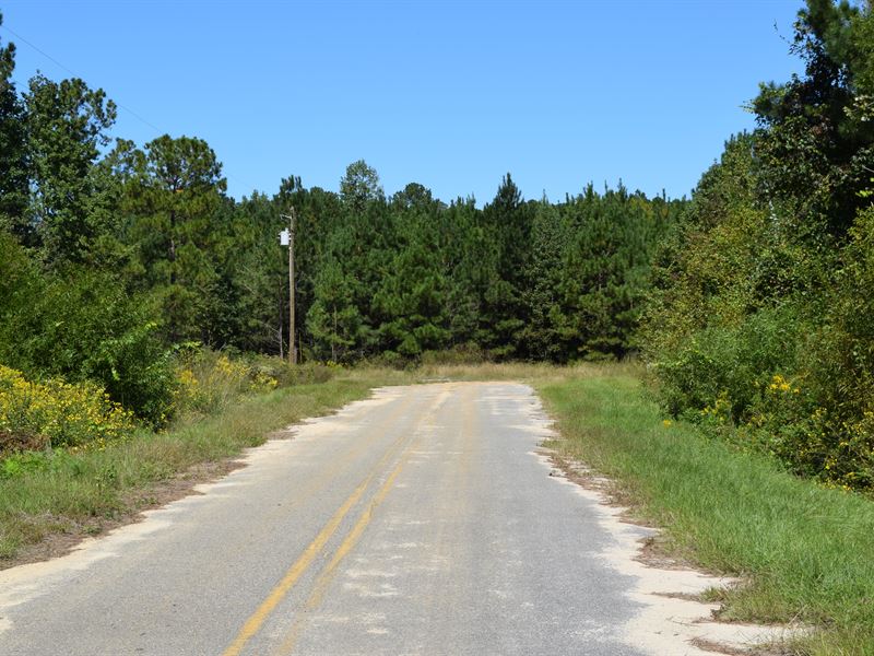 Homesites for Sale : Vienna : Dooly County : Georgia