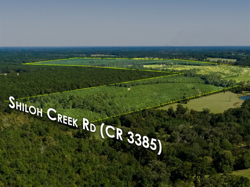 477 Acres CR 3385 : Crockett : Houston County : Texas