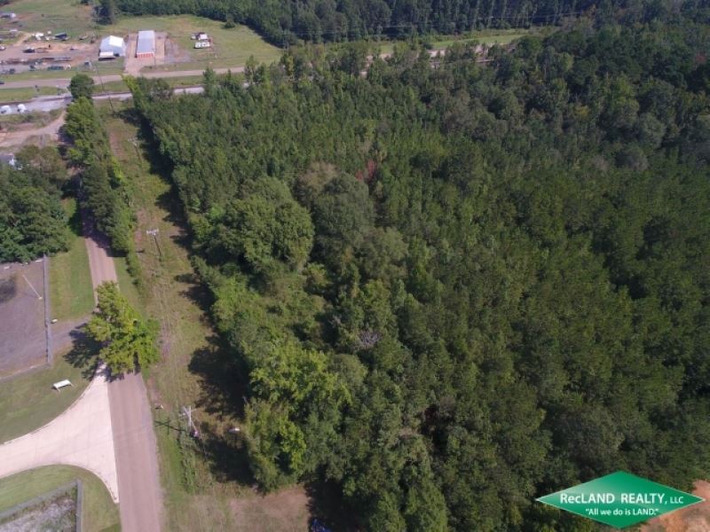 22 Ac, Wooded Tract for Developmen : Arcadia : Bienville Parish : Louisiana