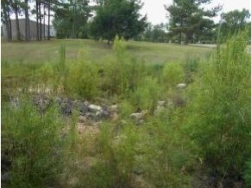 11.75 Acres in Lincoln County in So : Sontag : Lincoln County : Mississippi