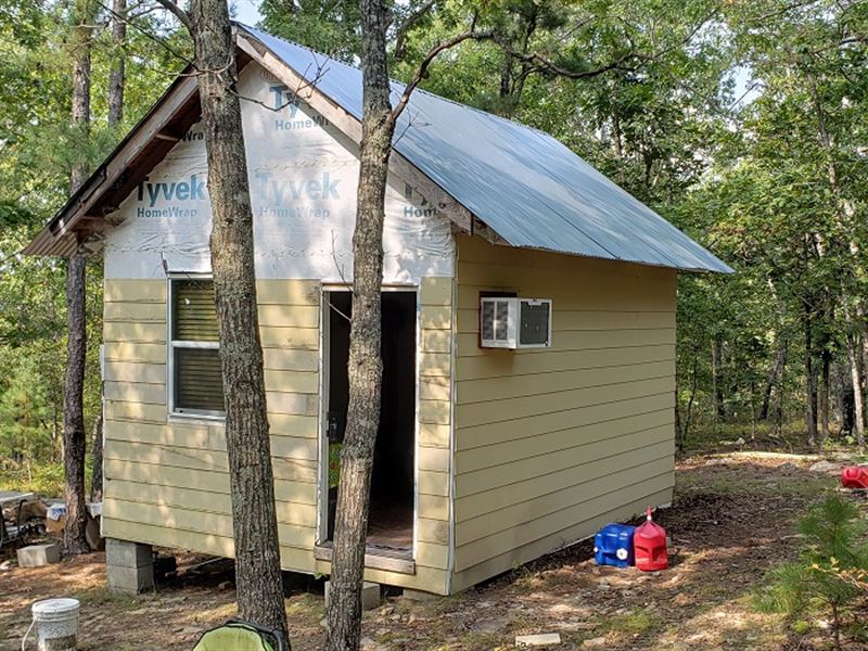 Buffalo Mountain 40 Acres, Cabin : Talihina : Latimer County : Oklahoma