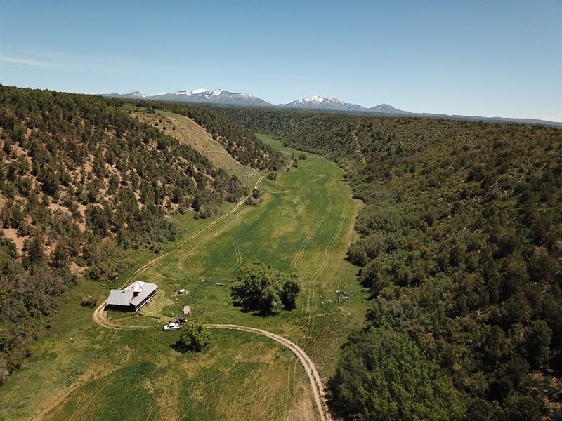 LA Plata Mountain Ranch : Durango : La Plata County : Colorado