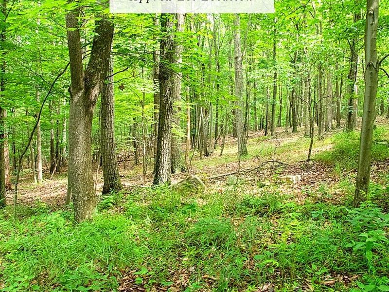 2.05 Acres Only $1Dn, $299/Mo : Augusta : Hampshire County : West Virginia