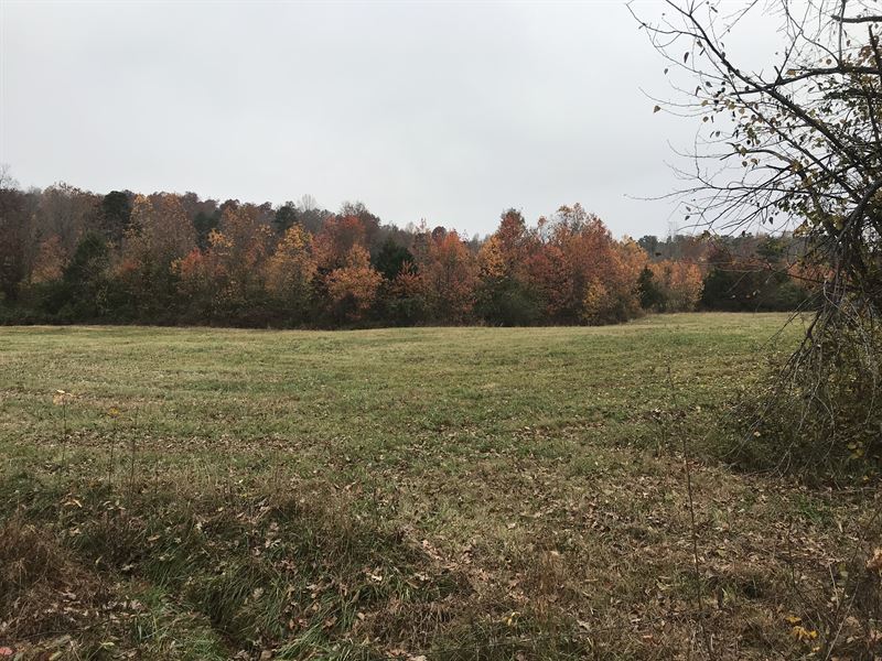 Arkansas Pasture & Timberland : Leslie : Searcy County : Arkansas