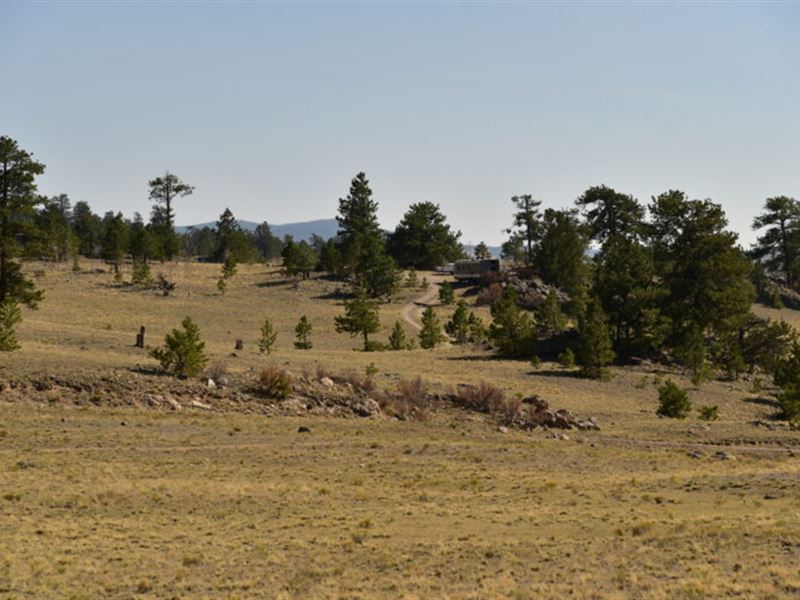 Finally Enjoy Your Weekends Again : Hartsel : Park County : Colorado