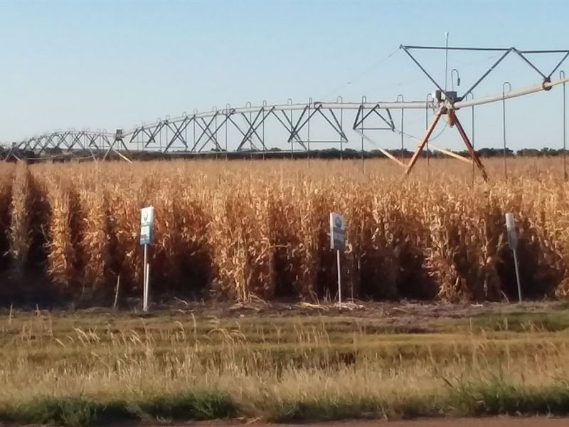 Rush County Irrigation & Oil : Rush Center : Rush County : Kansas