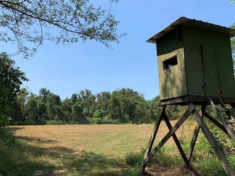 Hunting Property Adams County : Natchez : Adams County : Mississippi