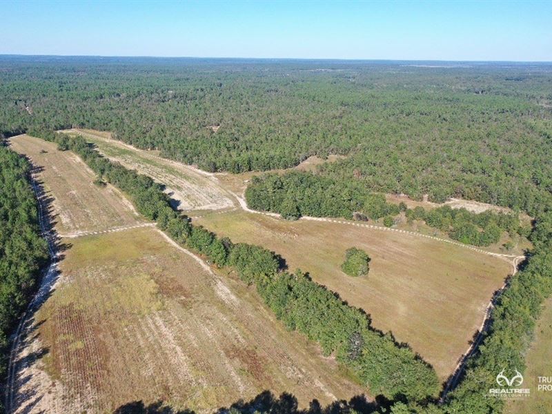 Aiken County Hunting / Recreational : Williston : Aiken County : South Carolina