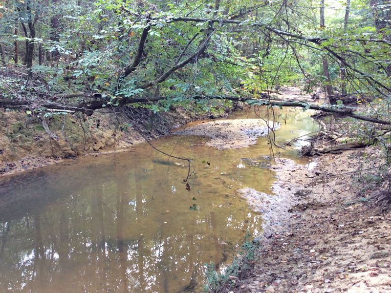 Fairview Rd Tucker Tract : Grady : Crenshaw County : Alabama