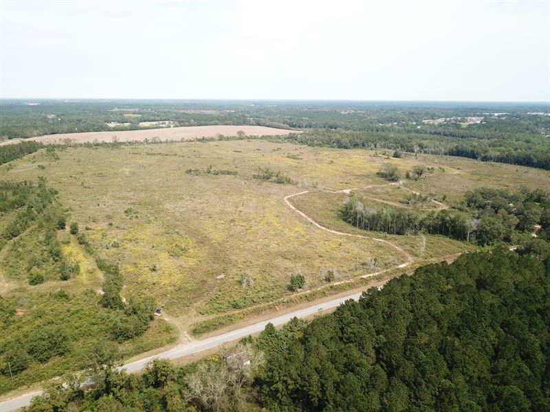 165 Ac, Coffee County, Powell Road : Enterprise : Coffee County : Alabama