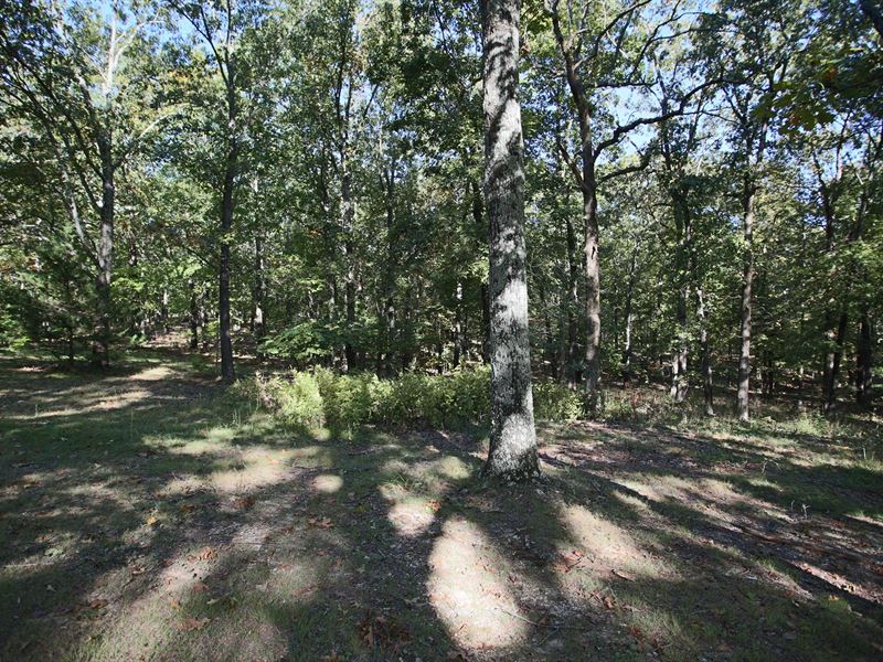 Vacant Land Country Club Area, West : West Plains : Howell County : Missouri