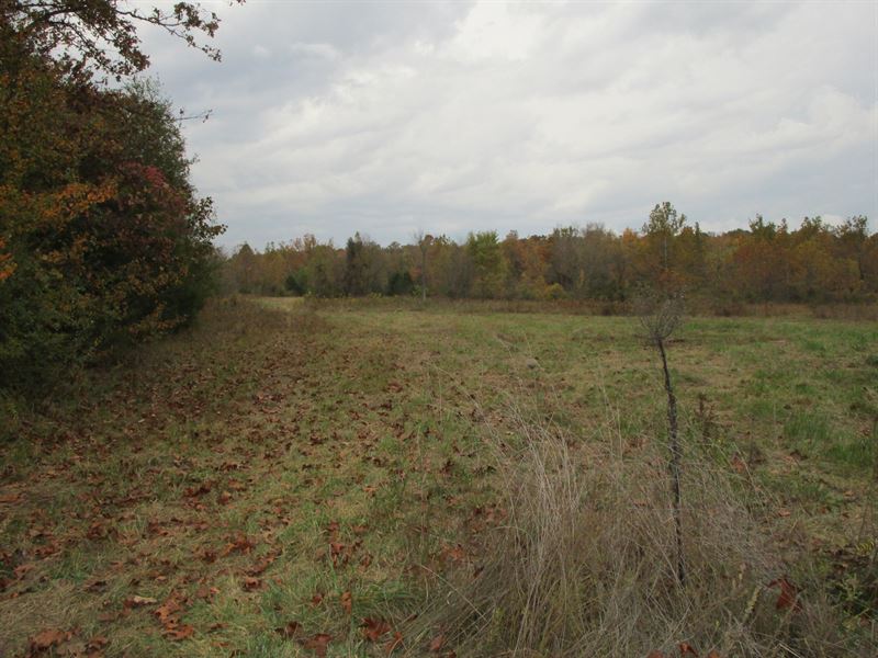 Vacant Land for Sale : West Plains : Howell County : Missouri