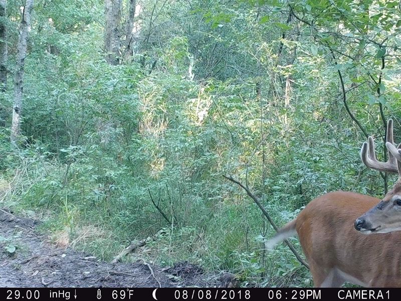 86 Acres Trempealeau County, WI : Strum : Trempealeau County : Wisconsin