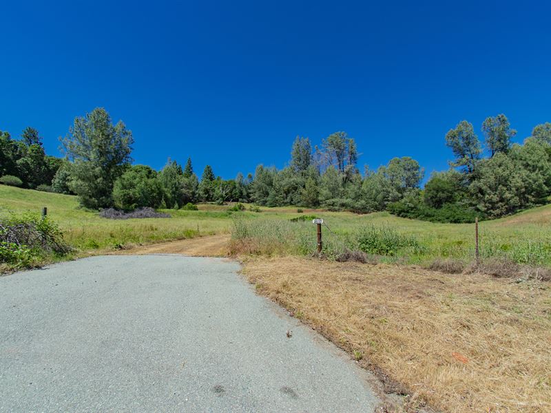 Fully Fenced Acreage : Volcano : Amador County : California