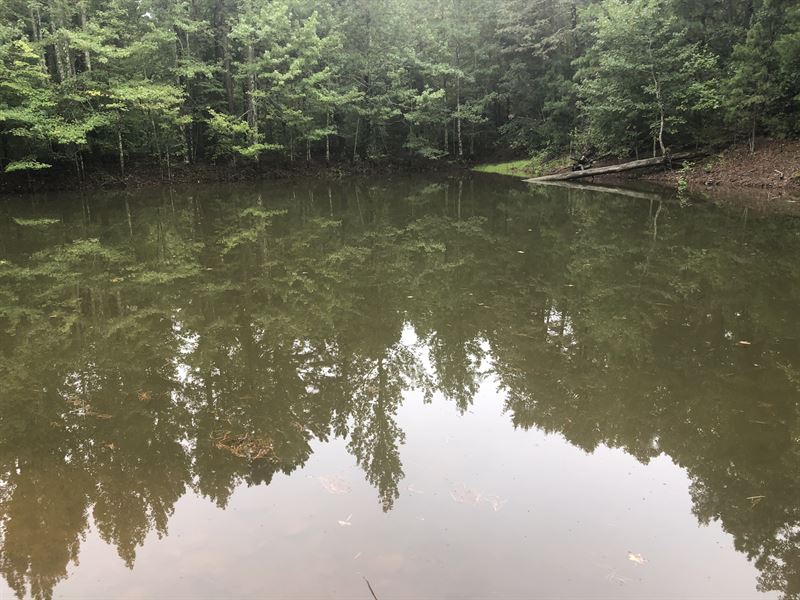 Arkansas Hunting Land with Cabin : Dennard : Van Buren County : Arkansas