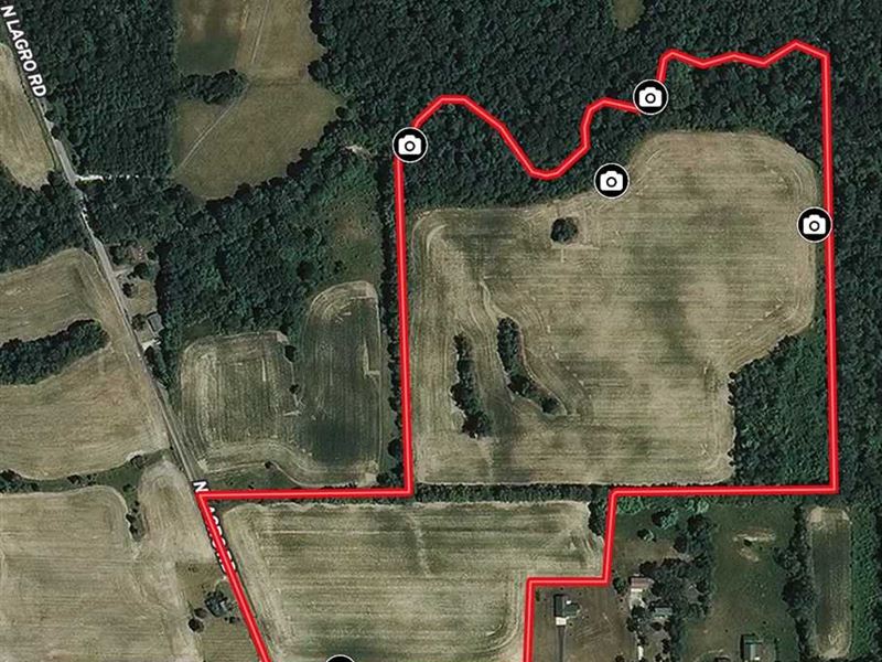 41 Acres-W 600 N & Largo, Woods,C : Marion : Grant County : Indiana