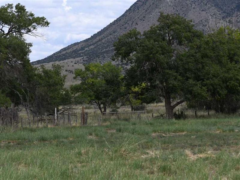 140 Acres with Views Lincoln County : Nogal : Lincoln County : New Mexico