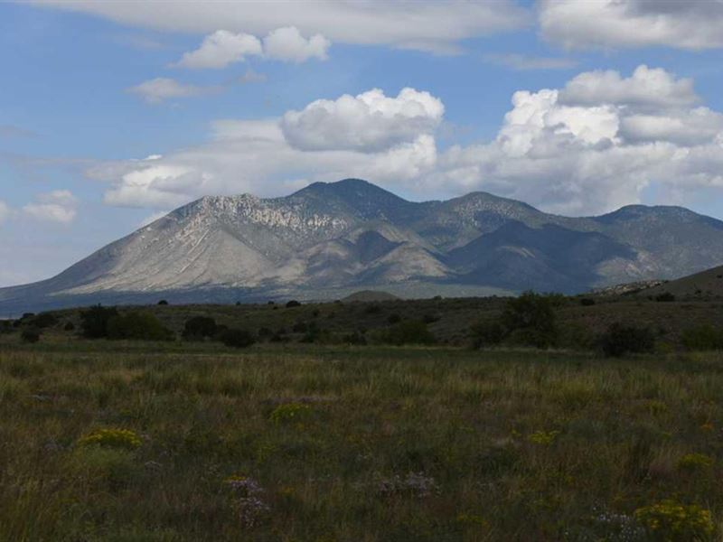 281 Acres Near Nogal, Lincoln Count : Nogal : Lincoln County : New Mexico