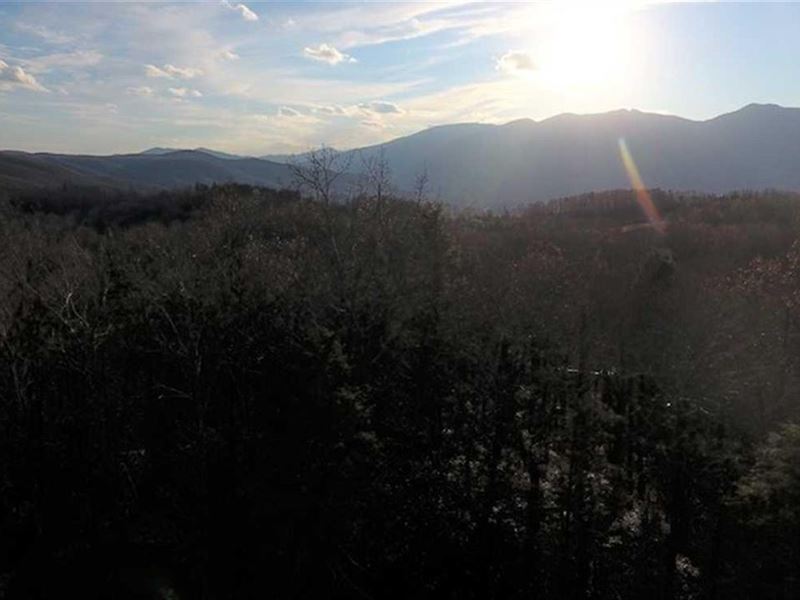 7 Acres with New Road and Amazin : Burnsville : Yancey County : North Carolina
