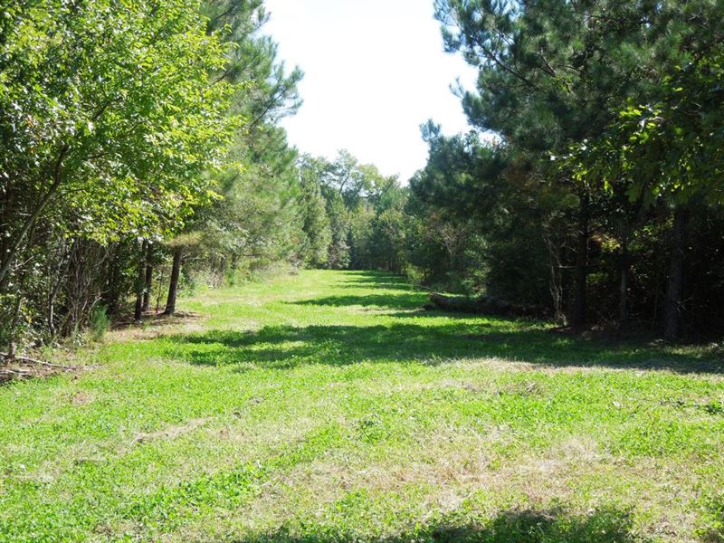 Lewis Tract : Littleton : Halifax County : North Carolina