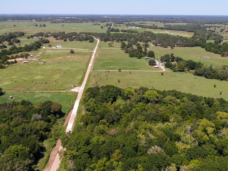 Wooded Has Trails and a Creek : Rockdale : Milam County : Texas