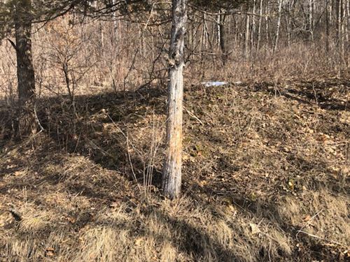 161.75 Acres Buffalo County, WI : Fountain City : Buffalo County : Wisconsin