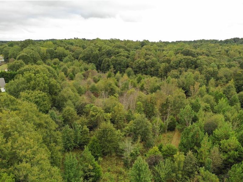 Wooded Residential Acreage : Williamston : Anderson County : South Carolina