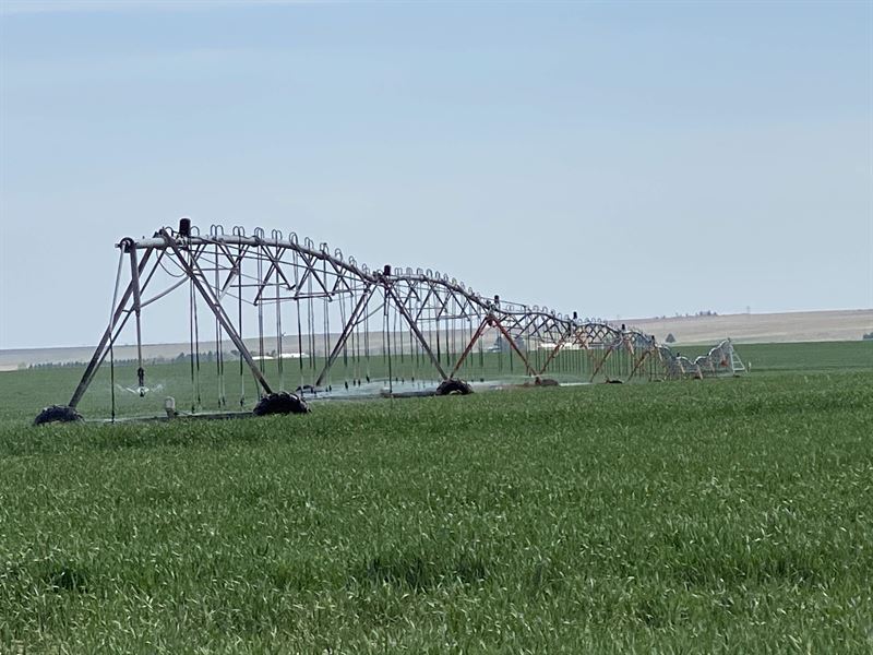 Kit Carson County Irrigated : Burlington : Kit Carson County : Colorado