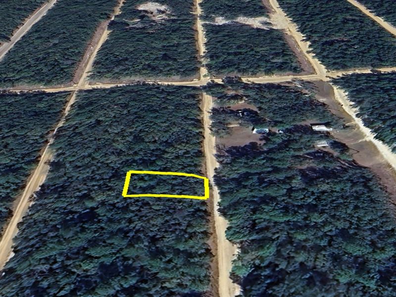 .22 Acre in Interlachen Lake Estate : Interlachen : Putnam County : Florida