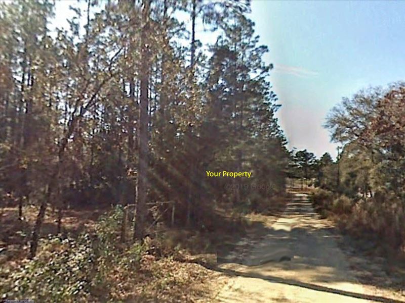 .92 Acre Close To Hwy 40 & 41 : Dunnellon : Marion County : Florida