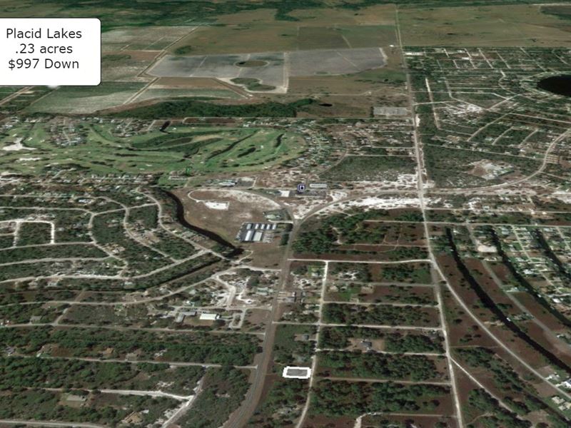 .23 Acre Partly Cleared Placid Lake : Lake Placid : Highlands County : Florida