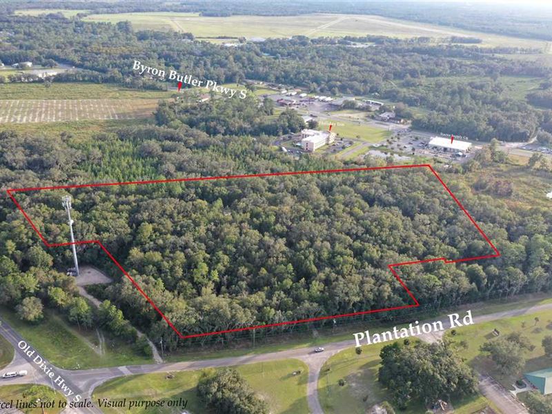 17.66 Acres of AG Land : Perry : Taylor County : Florida
