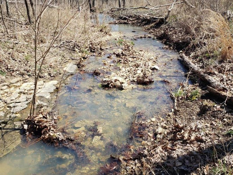 Well Fenced Land with Ponds : Elk Creek : Texas County : Missouri