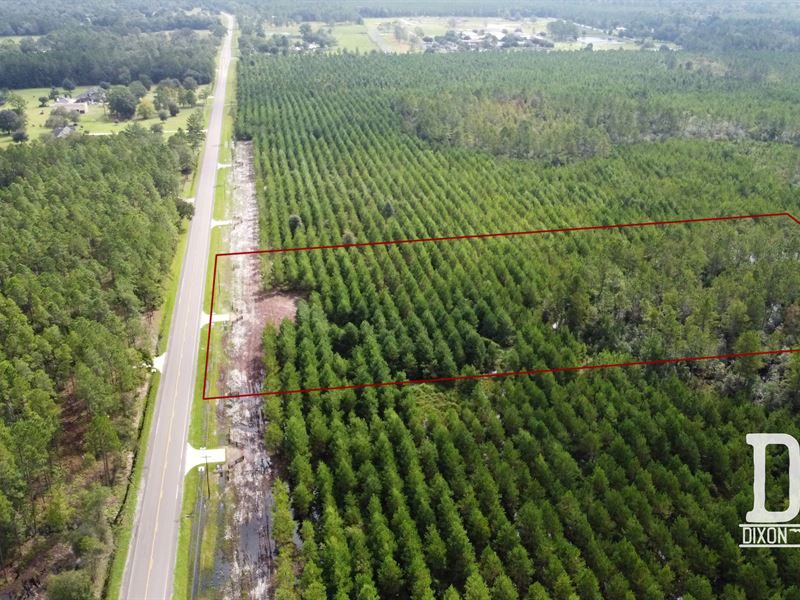 Lot 9, 5.15 Acres Dixon Farms : Callahan : Nassau County : Florida