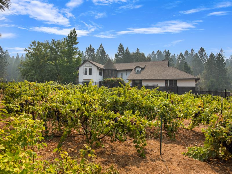 Equestrian's Dream Home & Vineyard : Volcano : Amador County : California