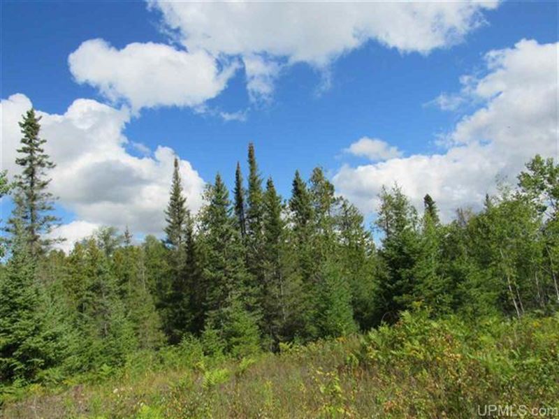 Quality Deer Hunting, 160A : Hermansville : Menominee County : Michigan