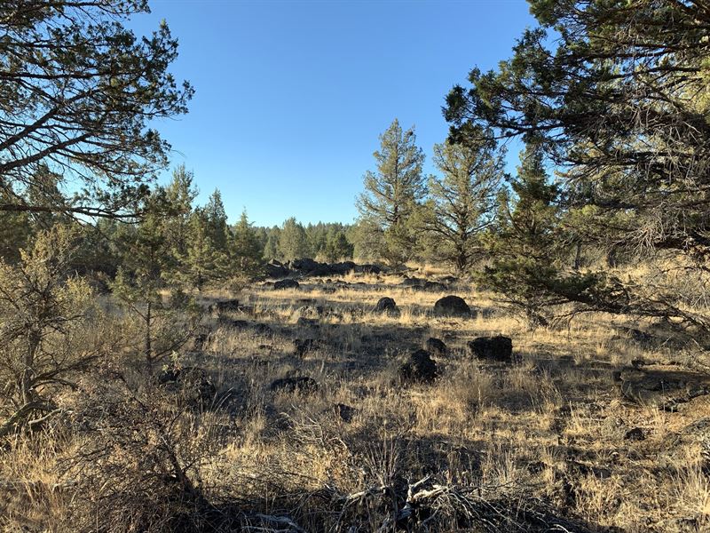 2.2 Southern Oregon Acres, Power : Bonanza : Klamath County : Oregon