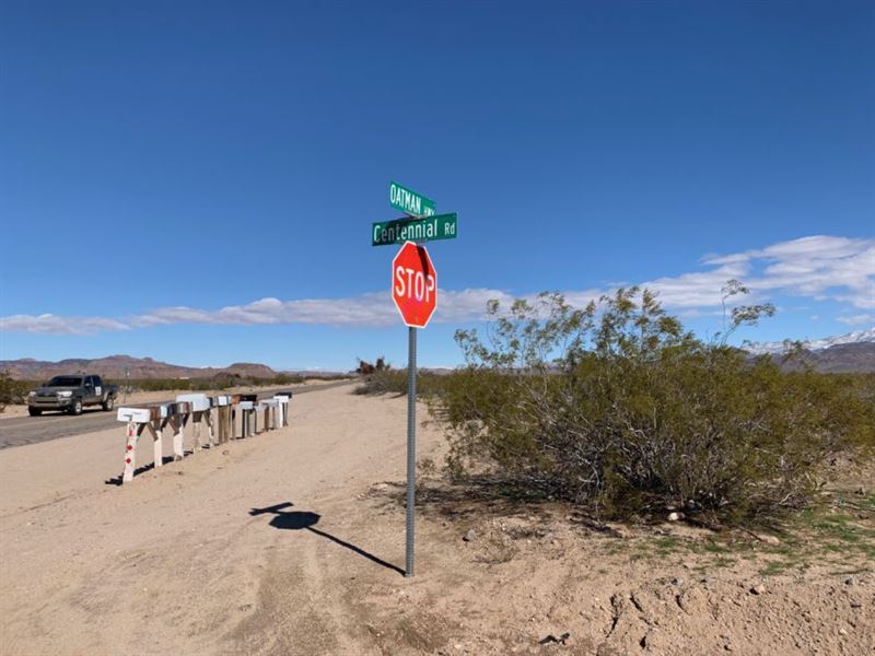 Grab an Acre in The Golden Valley : Kingman : Mohave County : Arizona